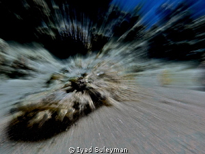 "All-seeing eye"
No Photoshop
Results of Workshop with ... by Iyad Suleyman 